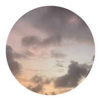 Testimonial Profile Picture of JANNE zu ThetaHealing®